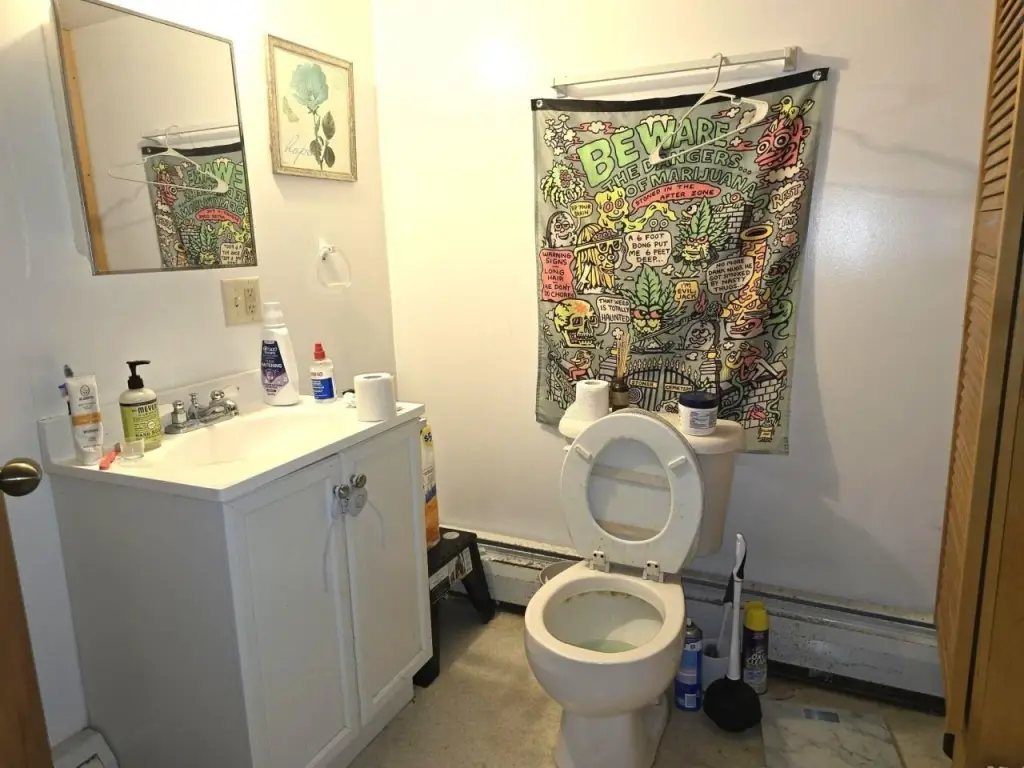 Picture 26