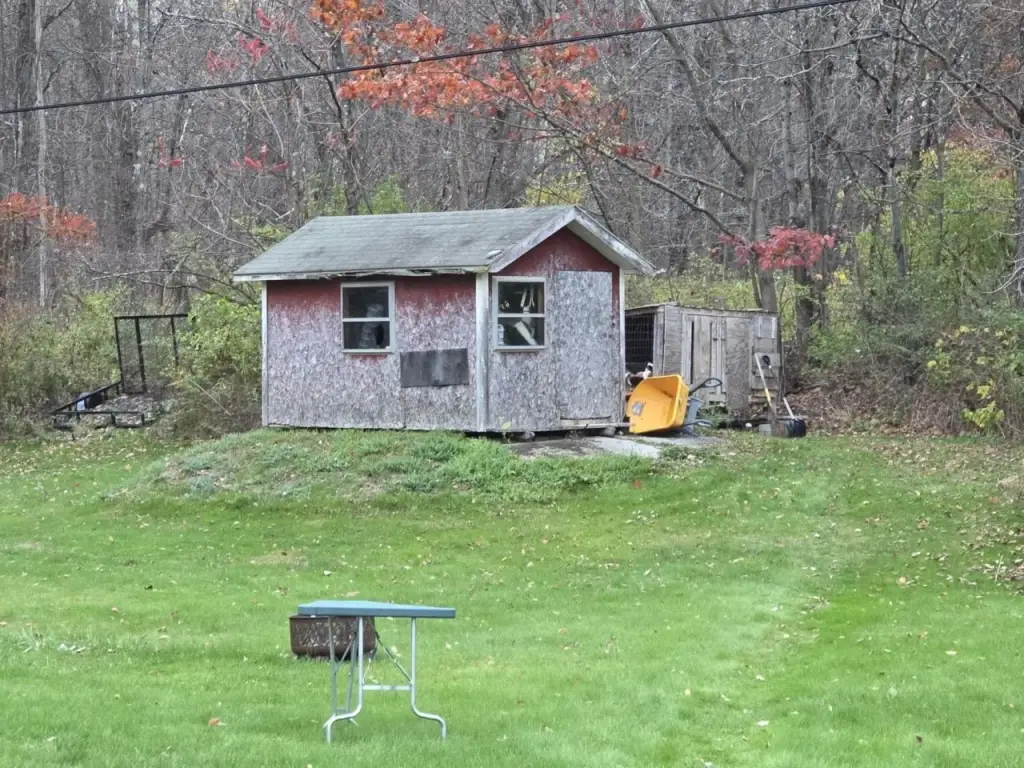 Picture 18
