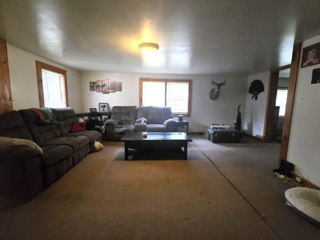 Picture 5