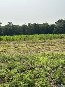 Elkmont, AL Acreage For Sale