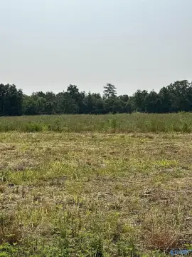 Acreage in Elkmont, Alabama