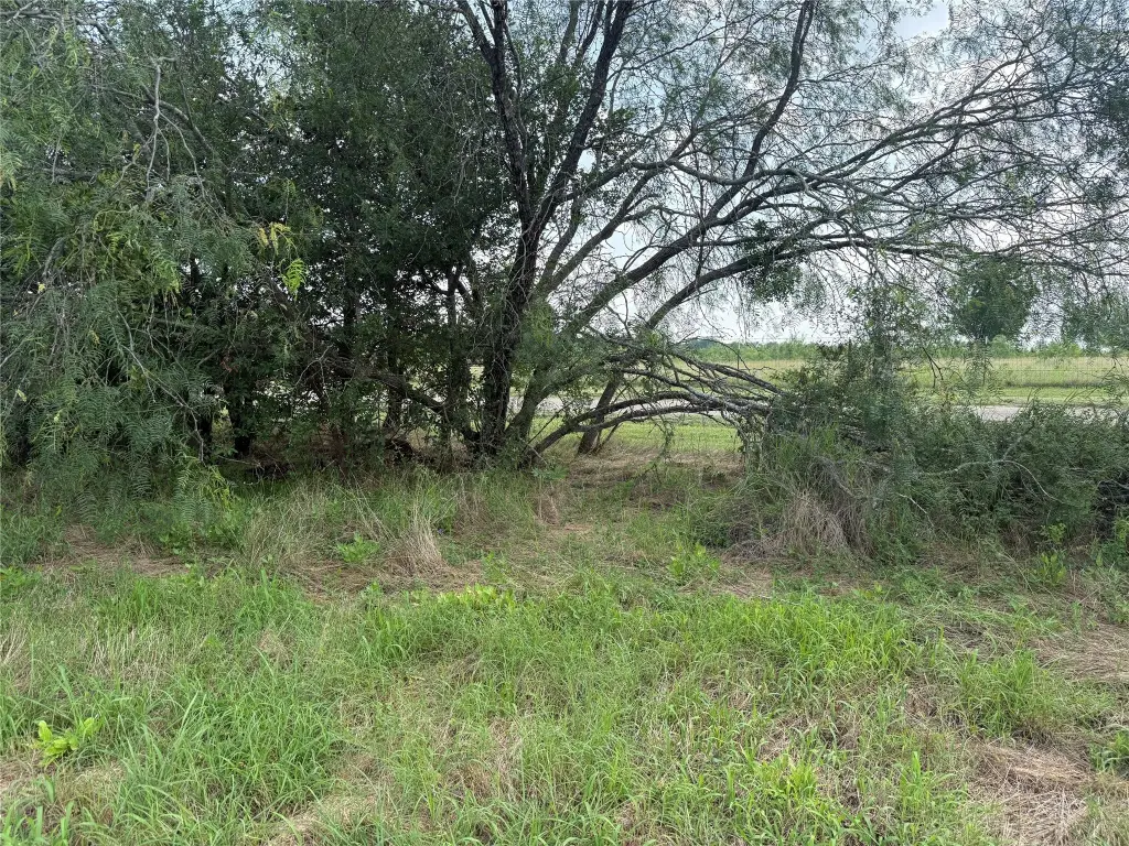 Picture 32