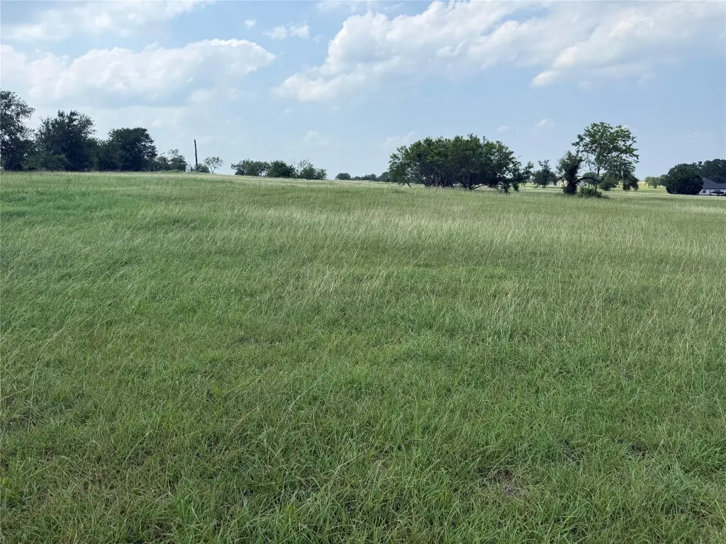 Picture 18