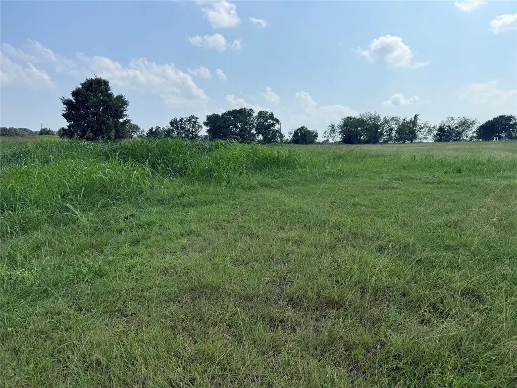 Picture 26