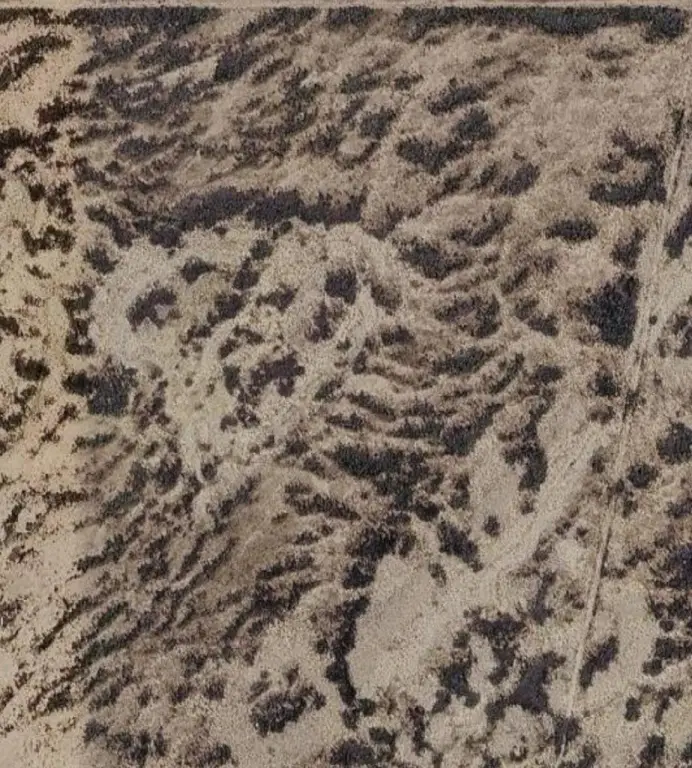 Picture 11