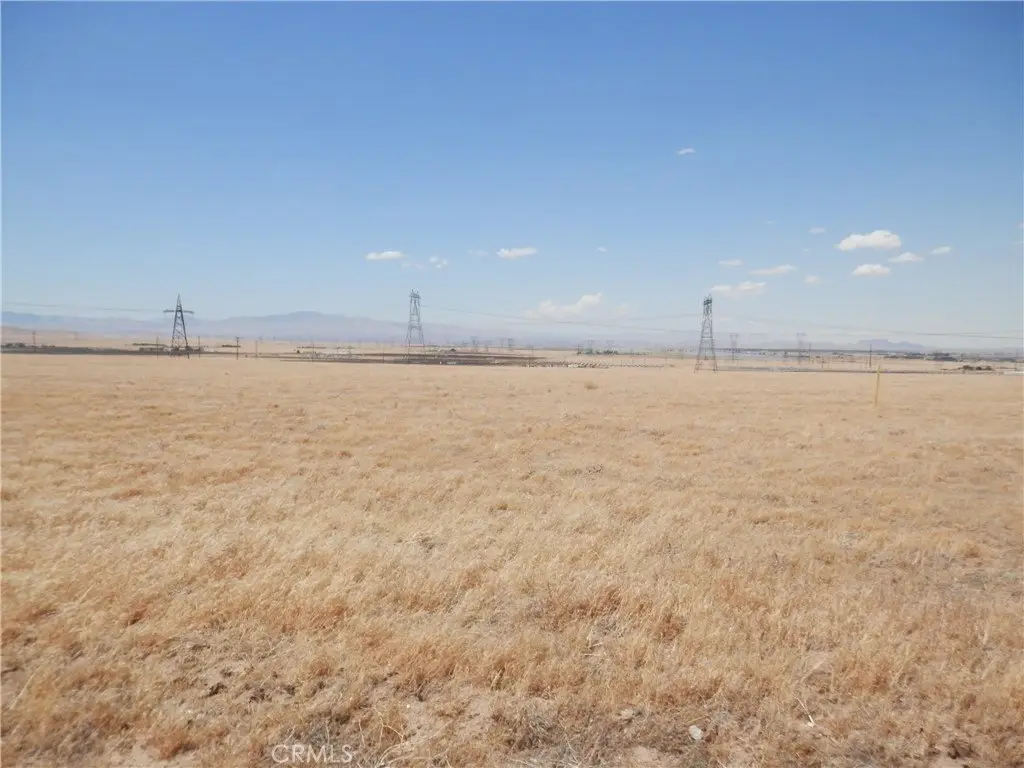 Picture 6