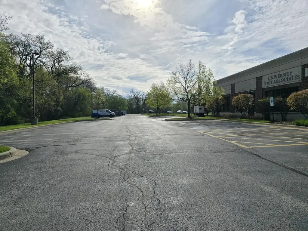 Picture 17