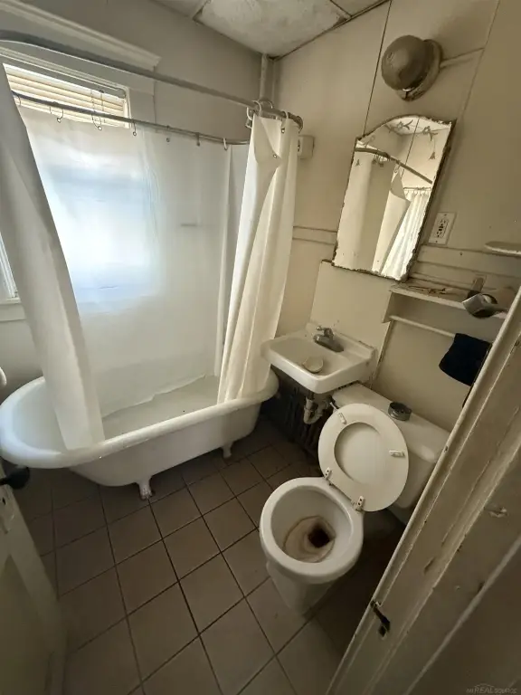 Picture 4