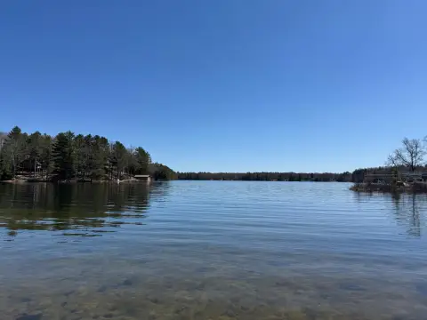 Wooded Lot on Fence Lake
