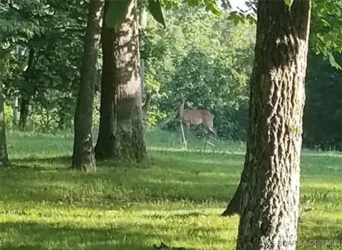 Land with Foundation and Utilities