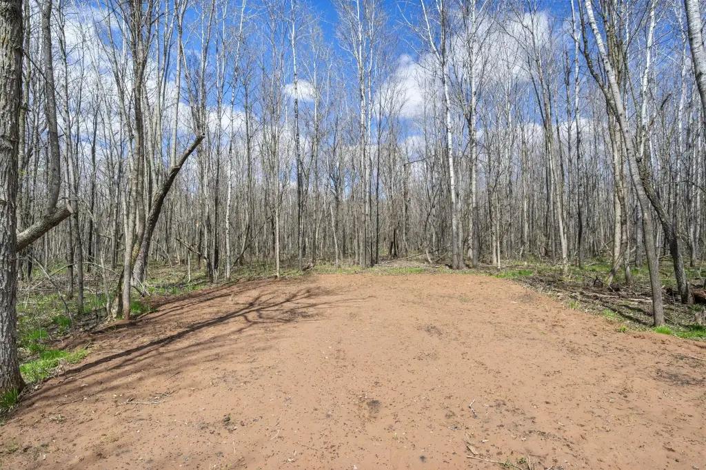 Picture 17