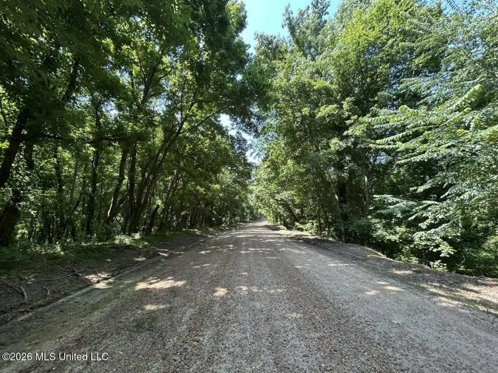 Picture 37