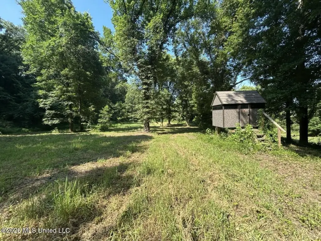 Picture 28