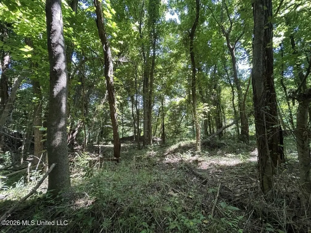 Picture 36