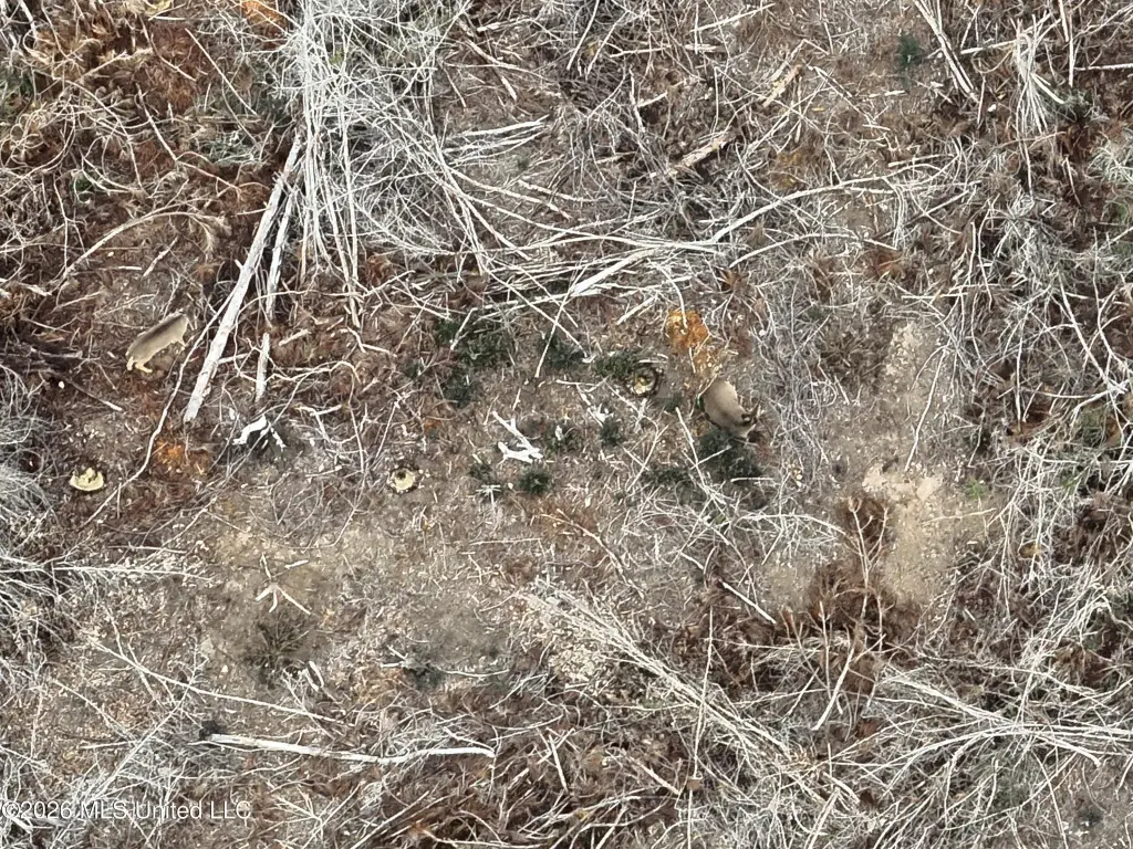 Picture 23