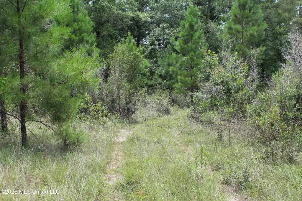 Picture 19