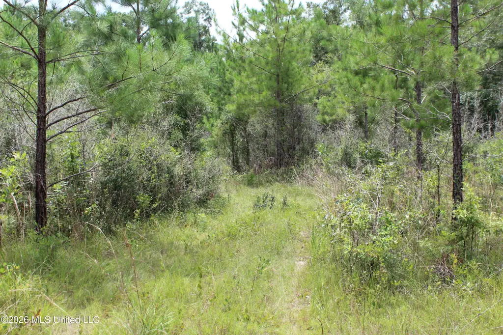 Picture 25