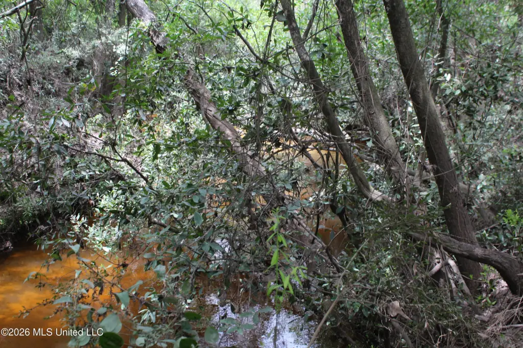 Picture 16