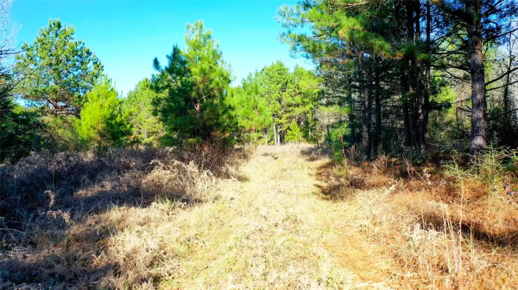 Picture 6
