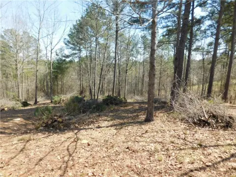 Salem, SC Wooded Lot