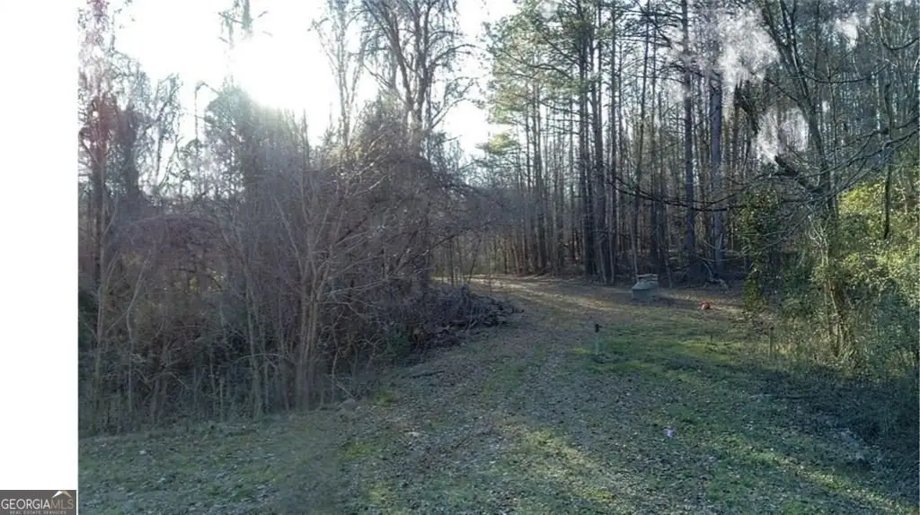 Picture 11