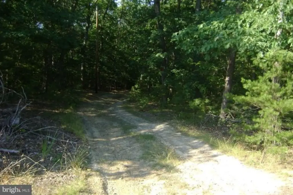 Picture 3