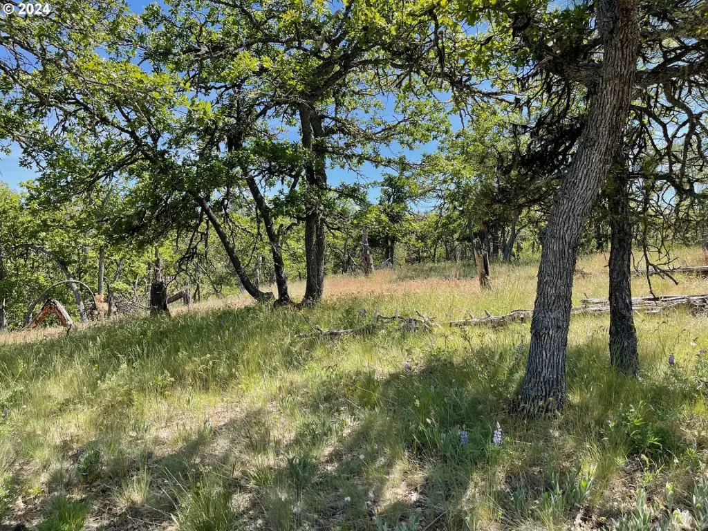 Picture 27