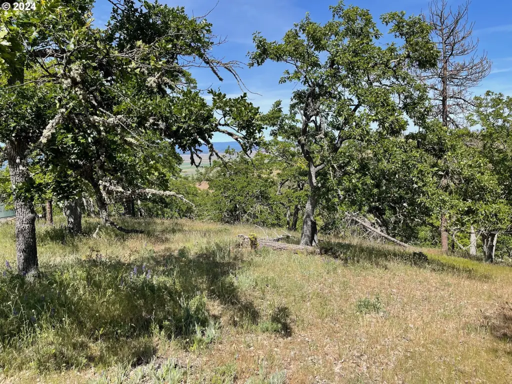 Picture 44