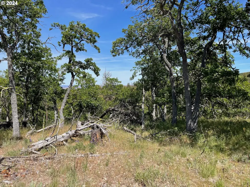 Picture 26