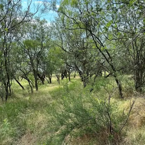 Abilene Ranch Land with Utilities