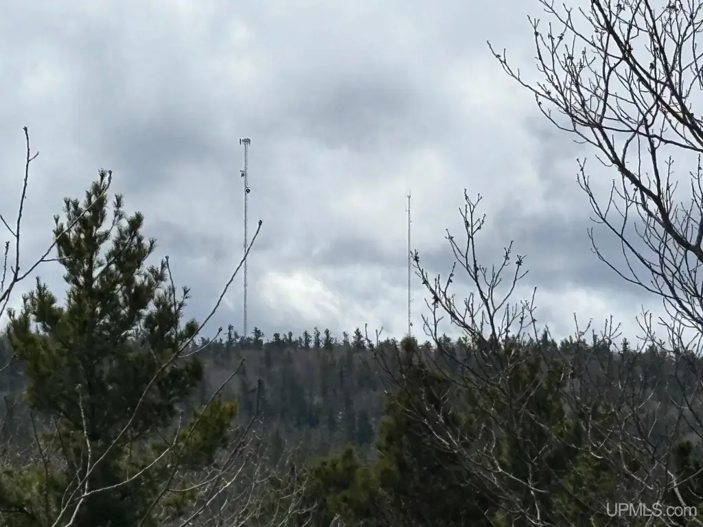 Picture 19