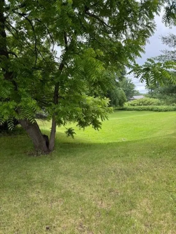 Picture 7