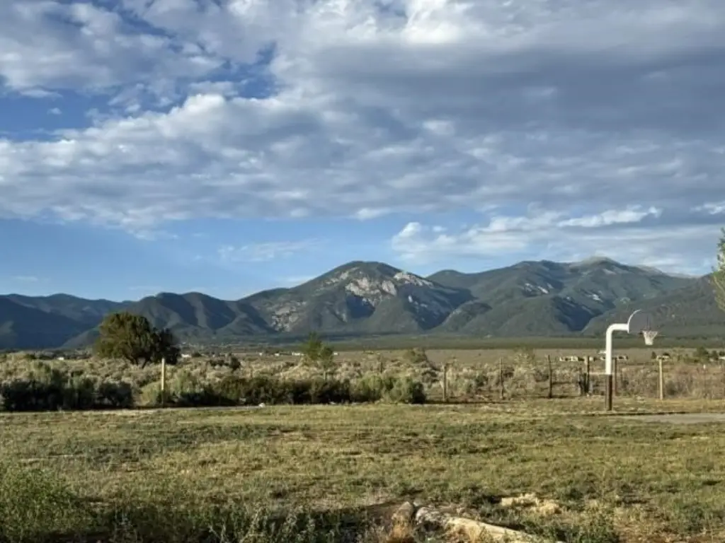 Picture 3