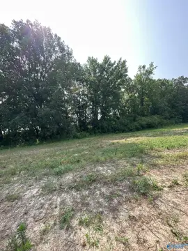 Elkmont Acreage Mini Farm