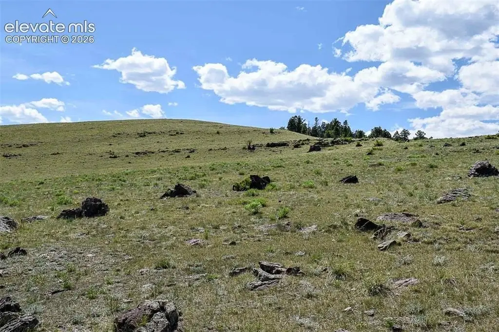 Picture 36