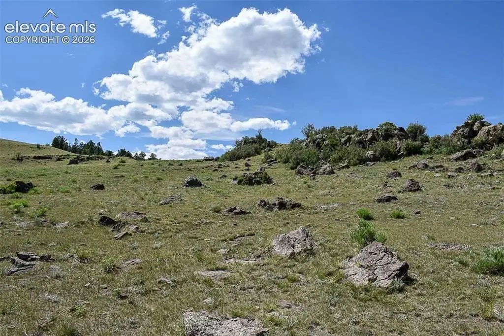 Picture 35