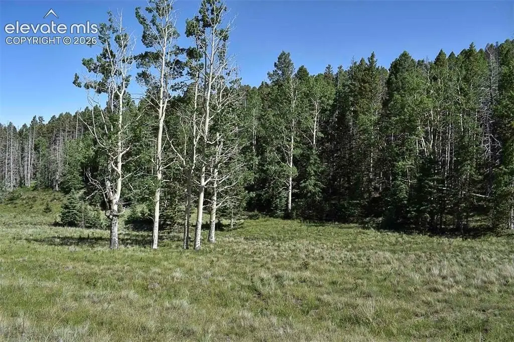 Picture 12