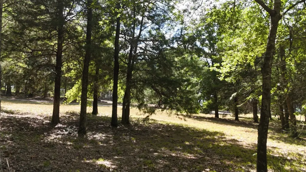 Picture 18
