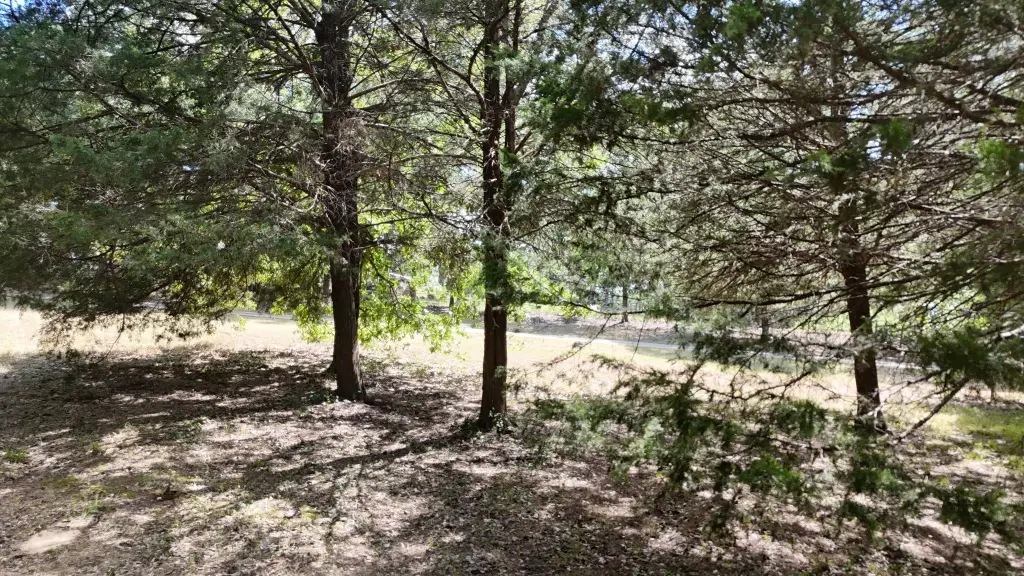 Picture 29