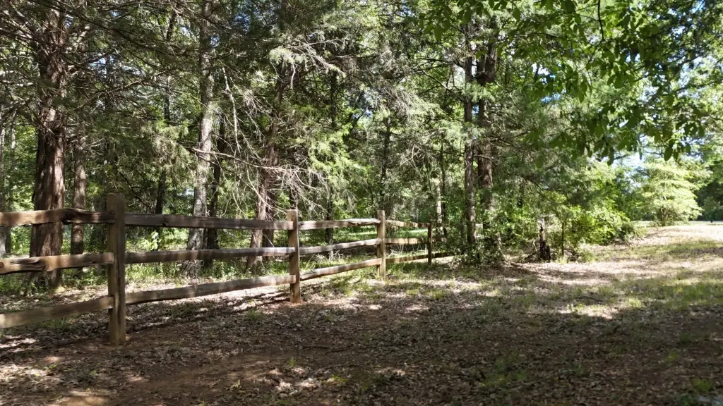 Picture 22