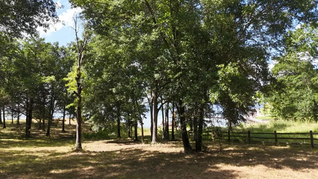 Picture 14