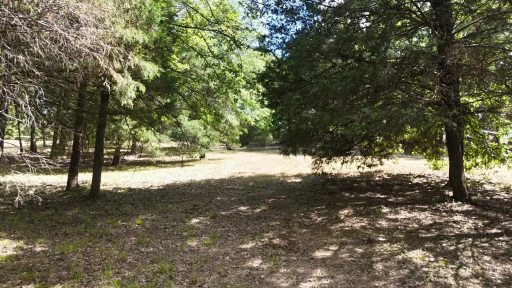 Picture 28