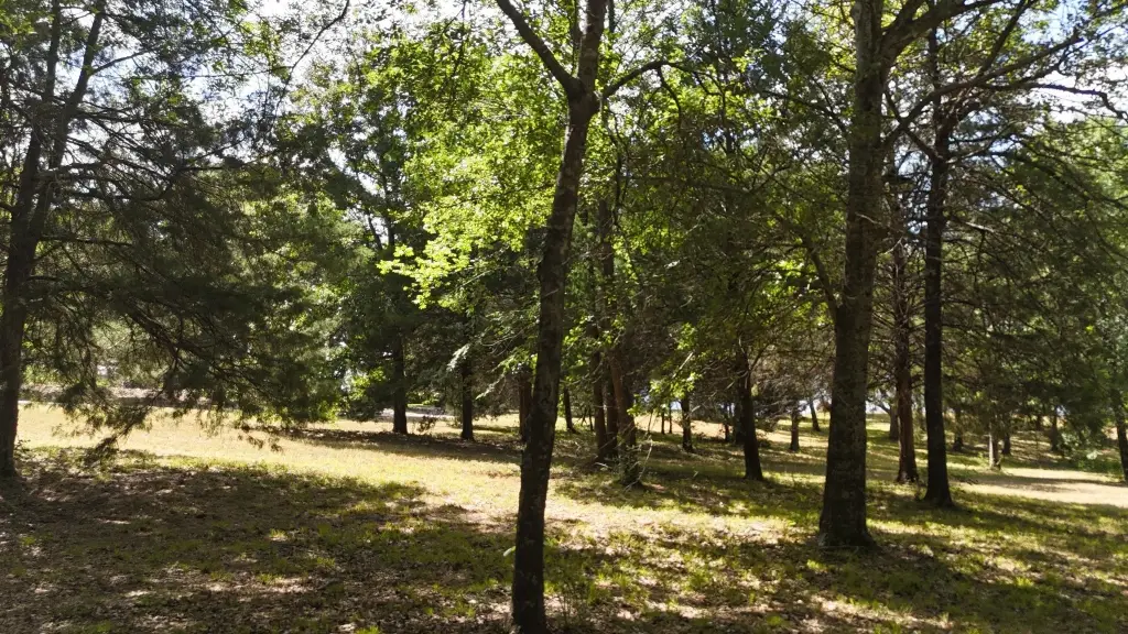 Picture 19