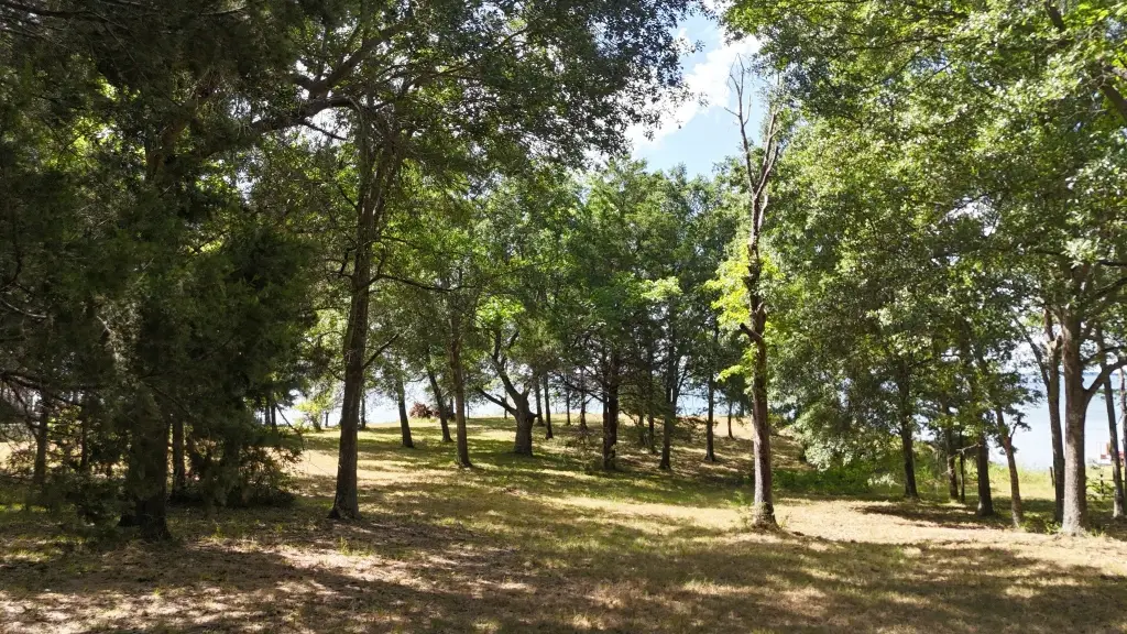 Picture 15