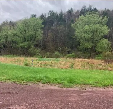 Wooded Homesite Land
