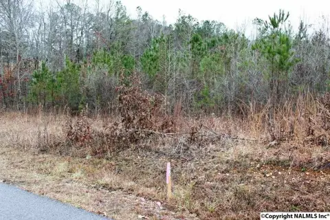 Residential Land in Centre, AL
