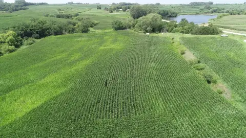 98-Acre Farm in Gravity, Iowa