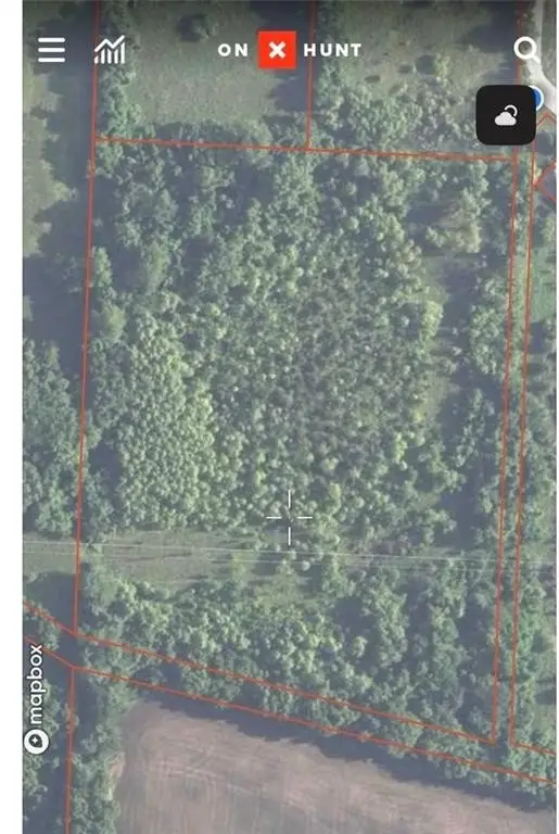Picture 14