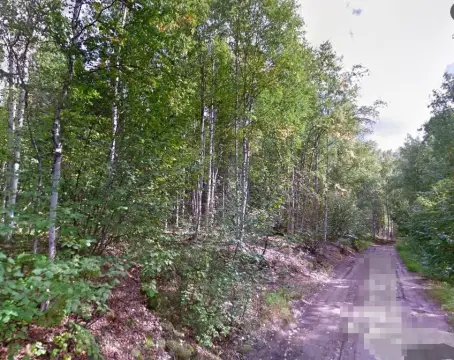 Fairbanks Land with View Potential