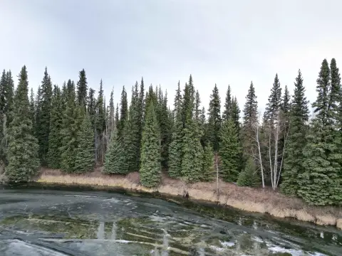 Fairbanks Residential Land with Riverfront